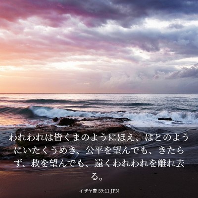 Picture 03 - イザヤ書 59:11 JPN - われわれは皆くまのようにほえ、は - Bible Verse Picture