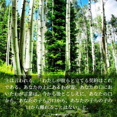 Picture 03 - イザヤ書 59:21 JPN - 主は言われる、「わたしが彼らと立 - Bible Verse Picture