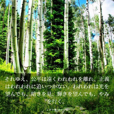 Picture 03 - イザヤ書 59:9 JPN - それゆえ、公平は遠くわれわれを離 - Bible Verse Picture
