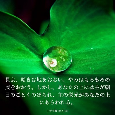 Picture 03 - イザヤ書 60:2 JPN - 見よ、暗きは地をおおい、やみはも - Bible Verse Picture