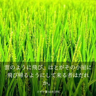 Picture 03 - イザヤ書 60:8 JPN - 雲のように飛び、はとがその小屋に - Bible Verse Picture