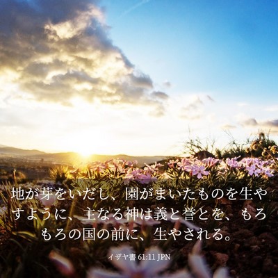 Picture 03 - イザヤ書 61:11 JPN - 地が芽をいだし、園がまいたものを - Bible Verse Picture