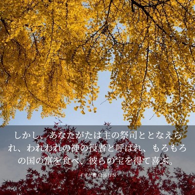 Picture 03 - イザヤ書 61:6 JPN - しかし、あなたがたは主の祭司とと - Bible Verse Picture