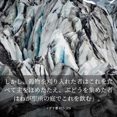 Picture 03 - イザヤ書 62:9 JPN - しかし、穀物を刈り入れた者はこれ - Bible Verse Picture