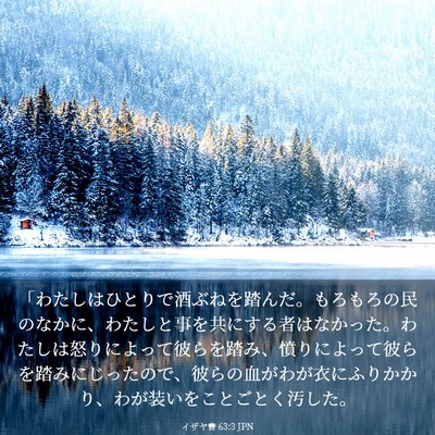 Picture 03 - イザヤ書 63:3 JPN - 「わたしはひとりで酒ぶねを踏んだ - Bible Verse Picture