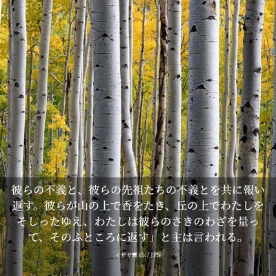 Picture 03 - イザヤ書 65:7 JPN - 彼らの不義と、彼らの先祖たちの不 - Bible Verse Picture
