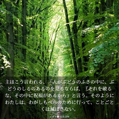 Picture 03 - イザヤ書 65:8 JPN - 主はこう言われる、「人がぶどうの - Bible Verse Picture
