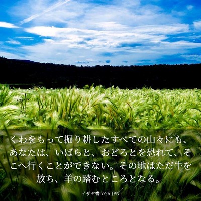 Picture 03 - イザヤ書 7:25 JPN - くわをもって掘り耕したすべての山 - Bible Verse Picture