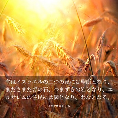 Picture 03 - イザヤ書 8:14 JPN - 主はイスラエルの二つの家には聖所 - Bible Verse Picture