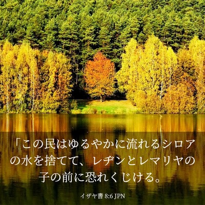 Picture 03 - イザヤ書 8:6 JPN - 「この民はゆるやかに流れるシロア - Bible Verse Picture