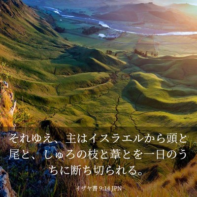 Picture 03 - イザヤ書 9:14 JPN - それゆえ、主はイスラエルから頭と - Bible Verse Picture
