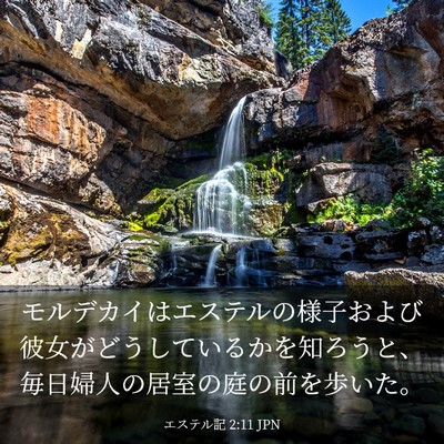 Picture 03 - エステル記 2:11 JPN - モルデカイはエステルの様子および - Bible Verse Picture