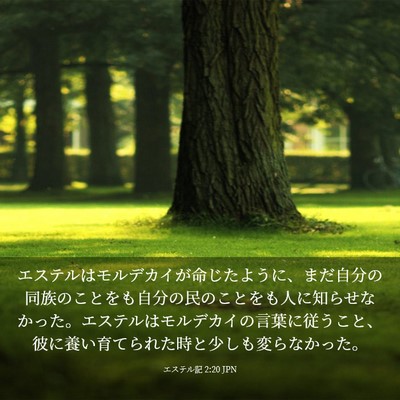 Picture 03 - エステル記 2:20 JPN - エステルはモルデカイが命じたよう - Bible Verse Picture