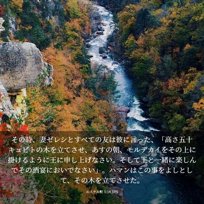 Picture 03 - エステル記 5:14 JPN - その時、妻ゼレシとすべての友は彼ã� - Bible Verse Picture