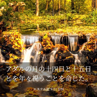 Picture 03 - エステル記 9:21 JPN - アダルの月の十四日と十五日とを年 - Bible Verse Picture