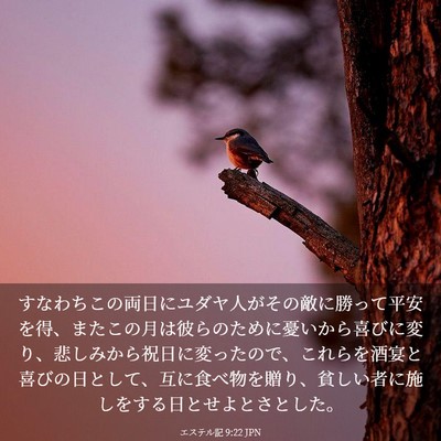Picture 03 - エステル記 9:22 JPN - すなわちこの両日にユダヤ人がその - Bible Verse Picture