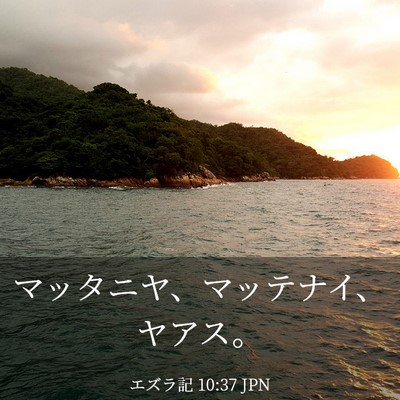 Picture 03 - エズラ記 10:37 JPN - マッタニヤ、マッテナイ、ヤアス。 - Bible Verse Picture