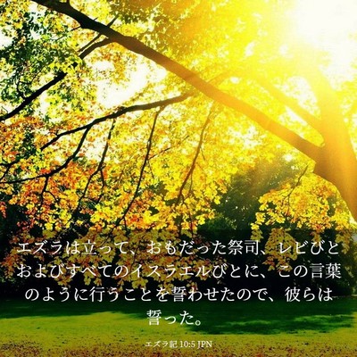 Picture 03 - エズラ記 10:5 JPN - エズラは立って、おもだった祭司、 - Bible Verse Picture