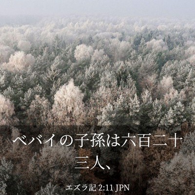 Picture 03 - エズラ記 2:11 JPN - ベバイの子孫は六百二十三人、 - Bible Verse Picture