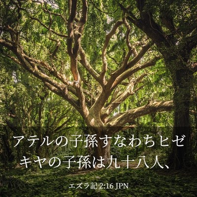 Picture 03 - エズラ記 2:16 JPN - アテルの子孫すなわちヒゼキヤの子 - Bible Verse Picture