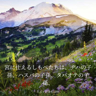 Picture 03 - エズラ記 2:43 JPN - 宮に仕えるしもべたちは、ヂハの子 - Bible Verse Picture