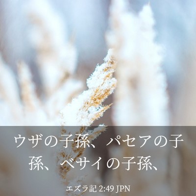 Picture 03 - エズラ記 2:49 JPN - ウザの子孫、パセアの子孫、ベサイ - Bible Verse Picture