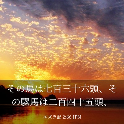 Picture 03 - エズラ記 2:66 JPN - その馬は七百三十六頭、その騾馬は - Bible Verse Picture