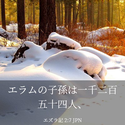 Picture 03 - エズラ記 2:7 JPN - エラムの子孫は一千二百五十四人、 - Bible Verse Picture