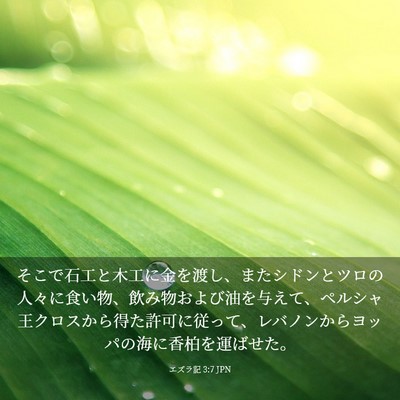 Picture 03 - エズラ記 3:7 JPN - そこで石工と木工に金を渡し、また - Bible Verse Picture