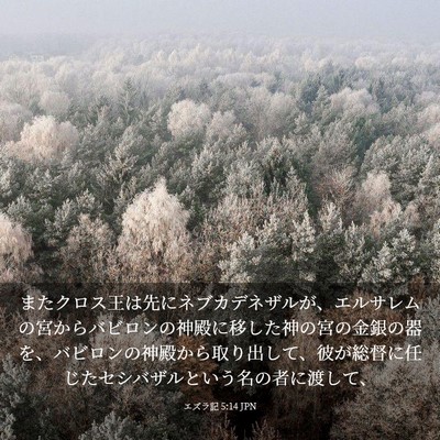 Picture 03 - エズラ記 5:14 JPN - またクロス王は先にネブカデネザル - Bible Verse Picture