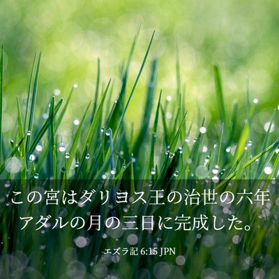 Picture 03 - エズラ記 6:15 JPN - この宮はダリヨス王の治世の六年ア - Bible Verse Picture