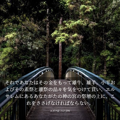 Picture 03 - エズラ記 7:17 JPN - それであなたはその金をもって雄牛 - Bible Verse Picture