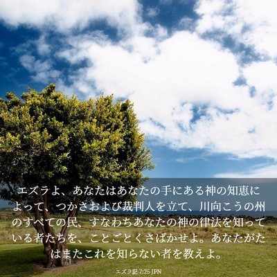 Picture 03 - エズラ記 7:25 JPN - エズラよ、あなたはあなたの手にあ - Bible Verse Picture