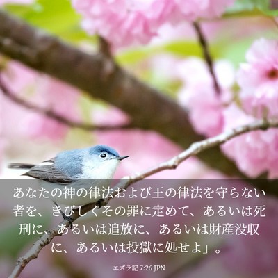 Picture 03 - エズラ記 7:26 JPN - あなたの神の律法および王の律法を - Bible Verse Picture