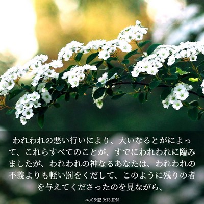 Picture 03 - エズラ記 9:13 JPN - われわれの悪い行いにより、大いな - Bible Verse Picture