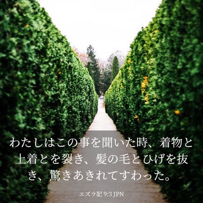 Picture 03 - エズラ記 9:3 JPN - わたしはこの事を聞いた時、着物と - Bible Verse Picture