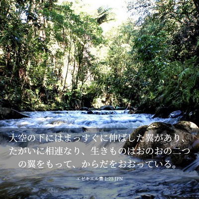 Picture 03 - エゼキエル書 1:23 JPN - 大空の下にはまっすぐに伸ばした翼 - Bible Verse Picture
