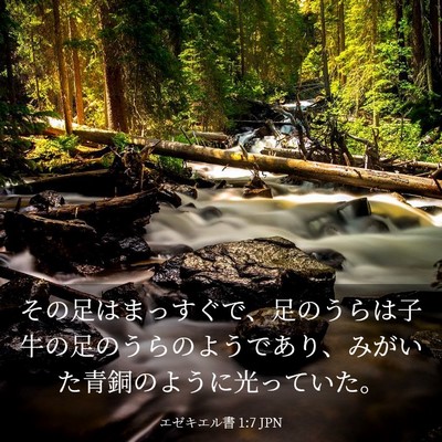 Picture 03 - エゼキエル書 1:7 JPN - その足はまっすぐで、足のうらは子 - Bible Verse Picture