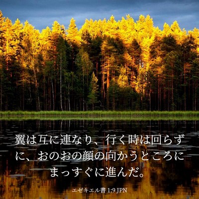 Picture 03 - エゼキエル書 1:9 JPN - 翼は互に連なり、行く時は回らずに - Bible Verse Picture