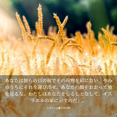 Picture 03 - エゼキエル書 12:6 JPN - あなたは彼らの目の前でその荷物を - Bible Verse Picture