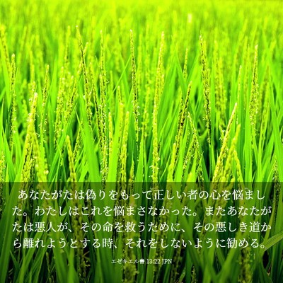 Picture 03 - エゼキエル書 13:22 JPN - あなたがたは偽りをもって正しい者 - Bible Verse Picture