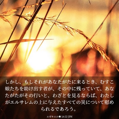 Picture 03 - エゼキエル書 14:22 JPN - しかし、もしそれがあなたがたに来 - Bible Verse Picture