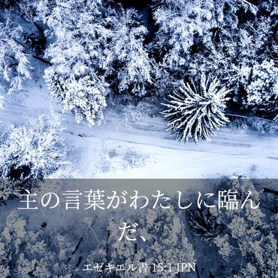 Picture 03 - エゼキエル書 15:1 JPN - 主の言葉がわたしに臨んだ、 - Bible Verse Picture