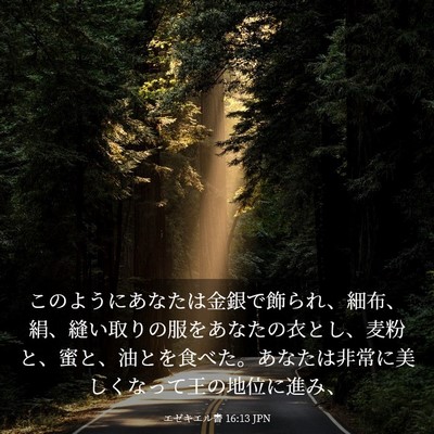 Picture 03 - エゼキエル書 16:13 JPN - このようにあなたは金銀で飾られ、 - Bible Verse Picture