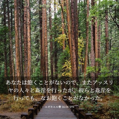 Picture 03 - エゼキエル書 16:28 JPN - あなたは飽くことがないので、また - Bible Verse Picture