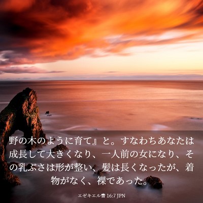 Picture 03 - エゼキエル書 16:7 JPN - 野の木のように育て』と。すなわち - Bible Verse Picture