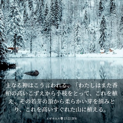 Picture 03 - エゼキエル書 17:22 JPN - 主なる神はこう言われる、「わたし - Bible Verse Picture
