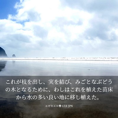 Picture 03 - エゼキエル書 17:8 JPN - これが枝を出し、実を結び、みごと - Bible Verse Picture