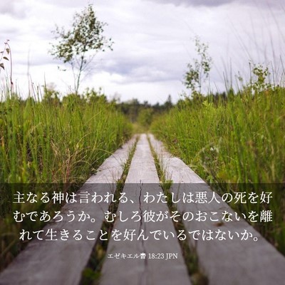Picture 03 - エゼキエル書 18:23 JPN - 主なる神は言われる、わたしは悪人 - Bible Verse Picture