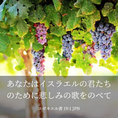 Picture 03 - エゼキエル書 19:1 JPN - あなたはイスラエルの君たちのため - Bible Verse Picture